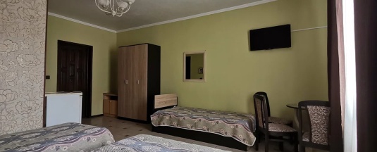 4-местная комната стандарт в Елена