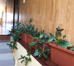 Комфорт- мансарда в AlexHome