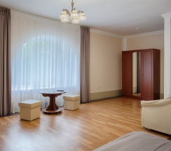 Семейный номер с 1 двуспальной кроватью и раскладным диваном в Парк-отель