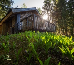 Родниковый дом в Мазаная Горка