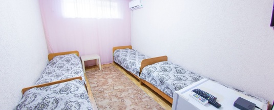 4 х местный бюджетный в Диана