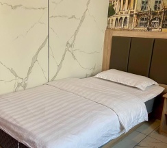 2-местный номер стандарт в Holiday hotel