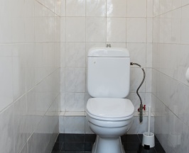 ПОЛУЛЮКС представительский с ванной в Сказка