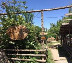 Номер Standard в Turkestan Yurt Camp