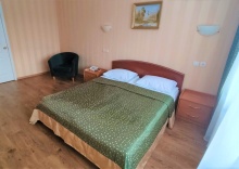 Номер стандарт с 1 двуспальной кроватью в Турист Иваново