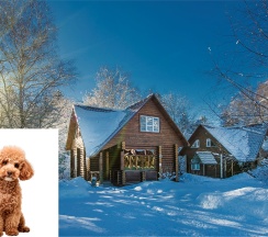 Коттедж в Атлас