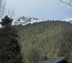 Стандарт Улучшенный в Potap