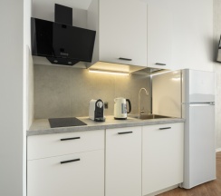 Панорамный пентхаус с видом на гавань и мосты (3,4), Тигровая 16А в Panorama Suites Group
