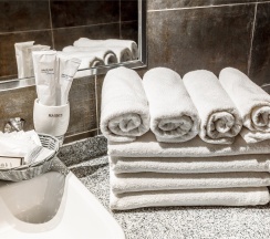 2-х местный Люкс в коттедже в Morea Family Resort&Spa