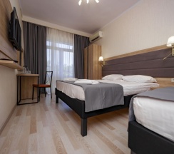 Трёхместный номер Comfort с балконом и с видом на парк в Прометей 3
