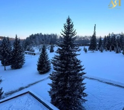Двухместный номер (отель Алира Пэлас) Люкс двухуровневый (двуспальная кровать) в Alira Palace