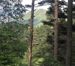 Шале 4. Четырёхместный номер комфорт с видом на горы в Белый волк