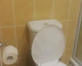 Двухместный люкс двуспальная кровать в Царская Аллея