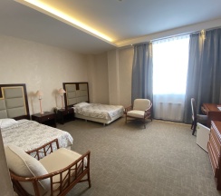 Стандартный номер двухместный в Lenina hotel