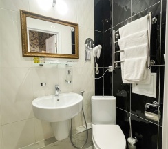Бизнес с кондиционером (до 4-х человек, Джуниор Сюит) в Catherine Art Hotel