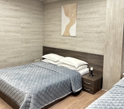 двухместный  в Панда