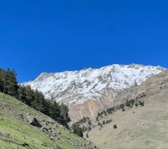 Люкс 21 в Рублёвочка