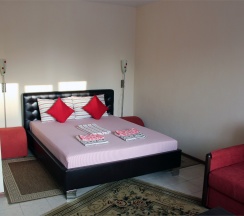 2-х местные улучшенные апартаменты S13 VIP+ в Siberia apartments
