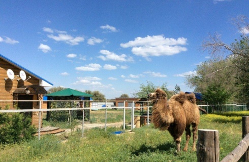 пос. Прибрежный: Турбаза Рыбацкие просторы