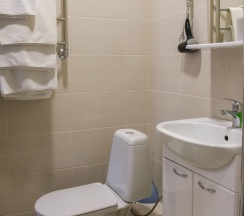 Двухместный Полулюкс с двуспальной кроватью №1 в На Всполье