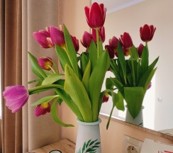 4-х местный номер Студия с мини-кухней в Центральная