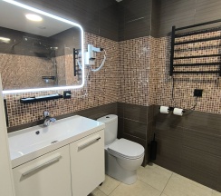 Делюкс Twin в Никольское