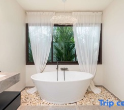 Вилла в Вилла Plunge Modern 2-Bedroom with Private Pool