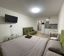 1-комнатные апартаменты студия ул. Спутников, 16/4 в DreamHouse