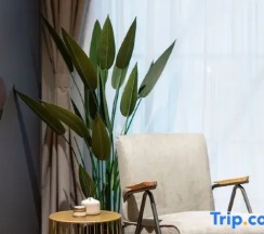 Трёхместный семейный номер Standard в Dash Living on Prat