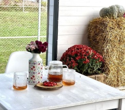 Дом в У реки