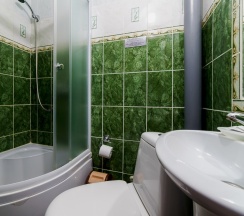 Эконом трехместный в Родина