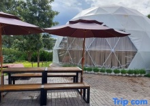 Семейный номер Standard в Glamping Hill Khaoyai