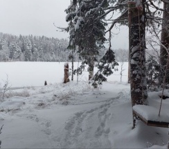 Бунгало Хюгге Мини в Папоротник