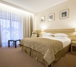 Стандартный + в ArtiLand