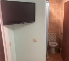 Двухместный номер нулевой этаж в Filin