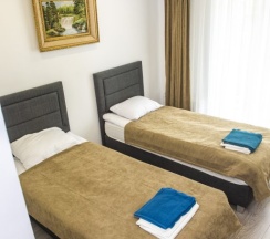 Двухместный номер Standard 2 отдельные кровати в Emerald