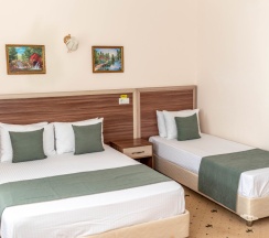 Четырехместный Стандарт в Можжевеловый парк