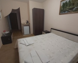 Номер Престиж с 1 двуспальной кроватью (с пансионом) в Геолог Казахстана