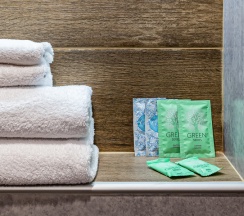 Стандарт двухместный с двумя односпальными кроватями в Rus hotel group