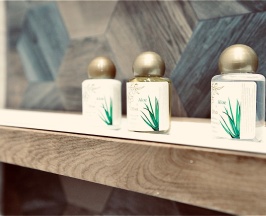 Бюджетный номер с одной кроватью размером Queen Size без окна (Отель Мёд) в Мёд & Маяк