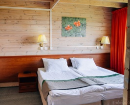 Двухместный номер Стандарт с 1 кроватью или 2 отдельными кроватями в Baikal View