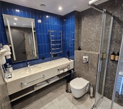 Стандарт премиум + в Ольга