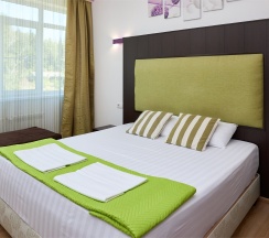 Люкс в Диса