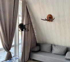 Вилла улучшенная в Villa tivoli