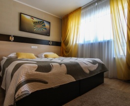 Двухместный номер Стандартный (Корпус Аэроград) двуспальная кровать в Аэроград