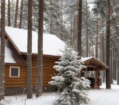 Коттедж "Дом Нептуна" в Дача