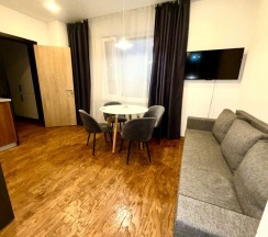 Апартаменты с 1 спальней в Urbanica Apartments