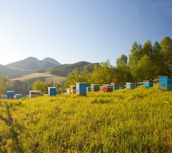 Барский Дом в Басаргино