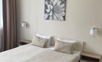 Стандарт с одной кроватью в Остафьево