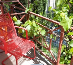 Двухместный номер Standard с балконом двуспальная кровать в Ла-манча